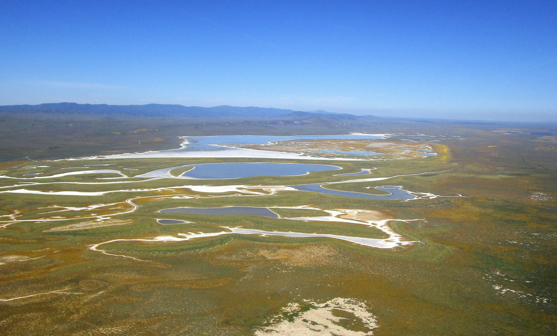 041319 Superbloom Soda Lake 11.jpg